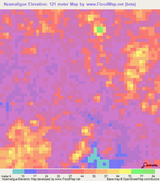 Nzamaligue,Gabon Elevation Map