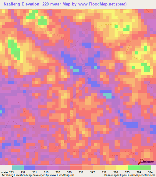 Nzafieng,Gabon Elevation Map