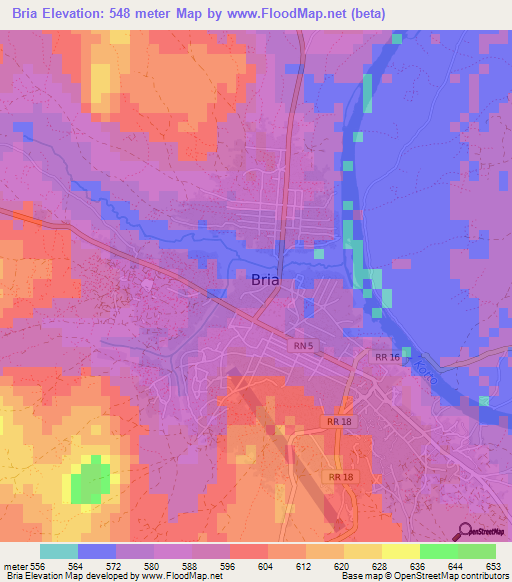 Bria,Central African Republic Elevation Map