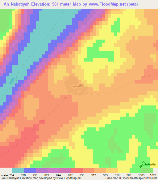 An Nabatiyah,Syria Elevation Map