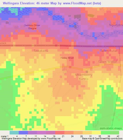 Wellingara,Gambia Elevation Map