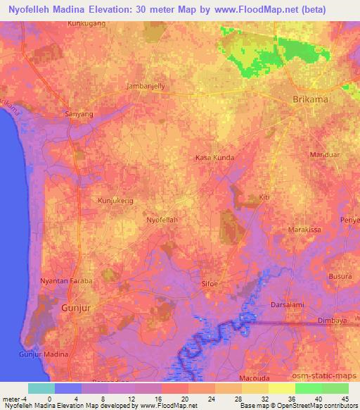 Nyofelleh Madina,Gambia Elevation Map