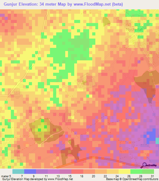 Gunjur,Gambia Elevation Map
