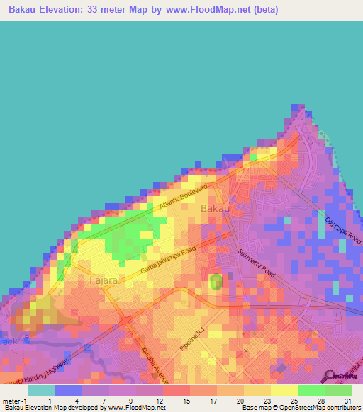 Bakau,Gambia Elevation Map