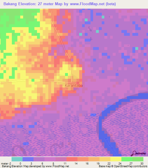 Bakang,Gambia Elevation Map