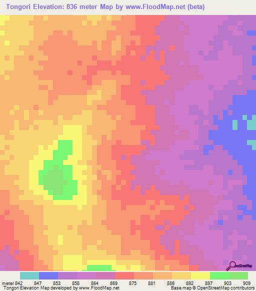 Tongori,Chad Elevation Map