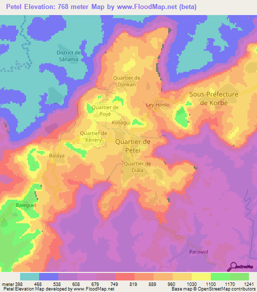 Petel,Guinea Elevation Map