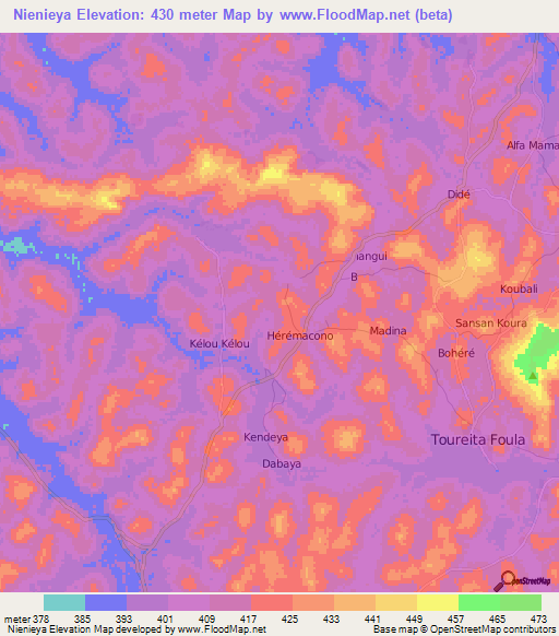 Nienieya,Guinea Elevation Map