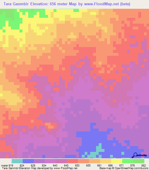Tara Ganmbir,Chad Elevation Map