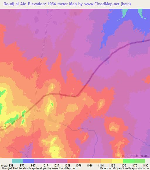 Roudjial Afe,Chad Elevation Map