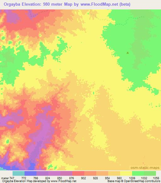 Orgayba,Chad Elevation Map
