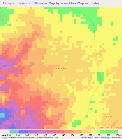 Orgayba,Chad Elevation Map
