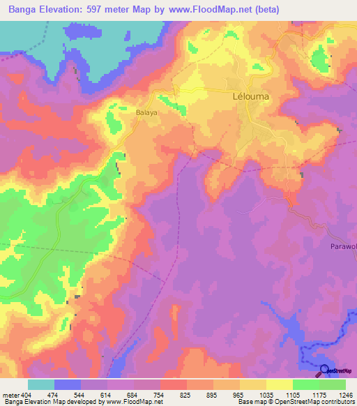 Banga,Guinea Elevation Map