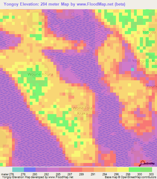 Yongoy,Chad Elevation Map