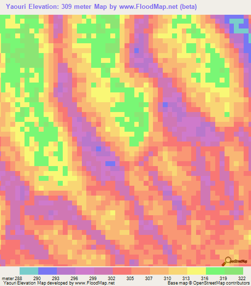 Yaouri,Chad Elevation Map
