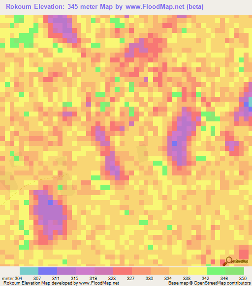 Rokoum,Chad Elevation Map