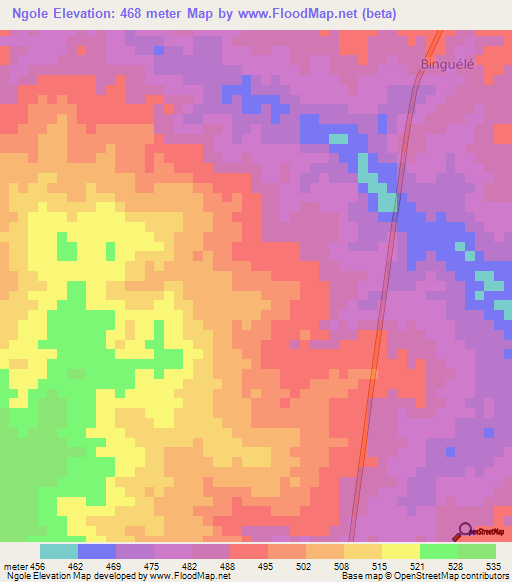 Ngole,Chad Elevation Map