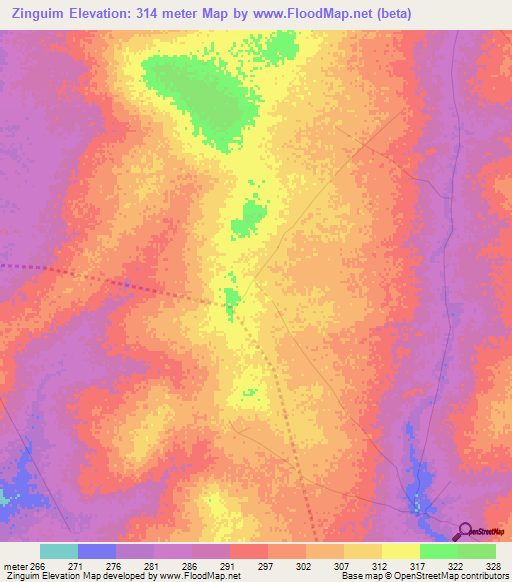 Zinguim,Mali Elevation Map