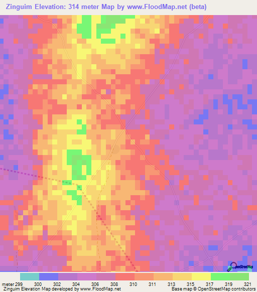 Zinguim,Mali Elevation Map