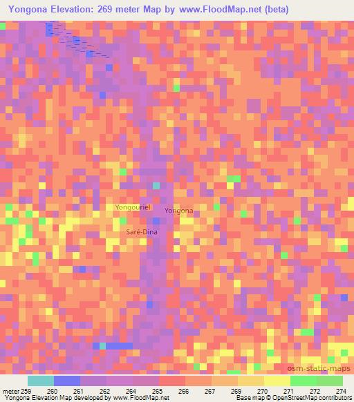 Yongona,Mali Elevation Map