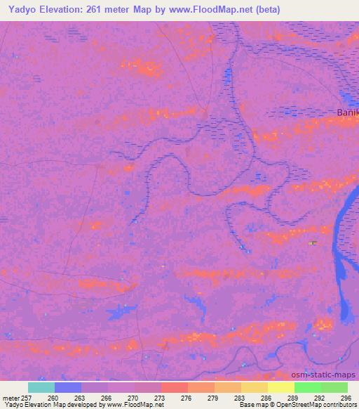 Yadyo,Mali Elevation Map