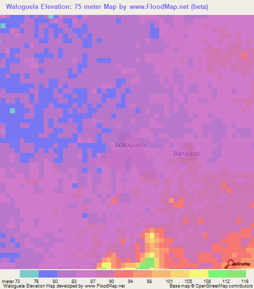 Waloguela,Mali Elevation Map