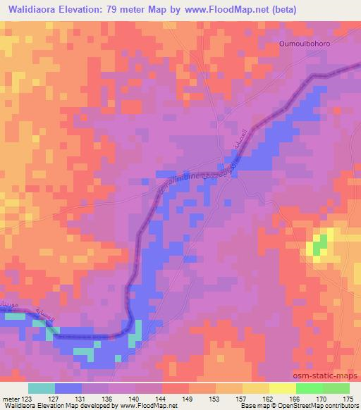 Walidiaora,Mali Elevation Map