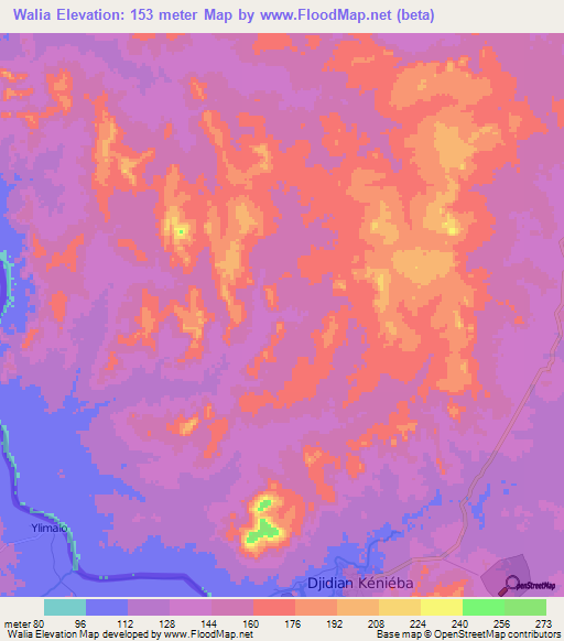 Walia,Mali Elevation Map