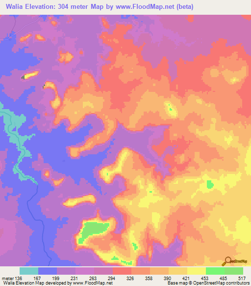 Walia,Mali Elevation Map