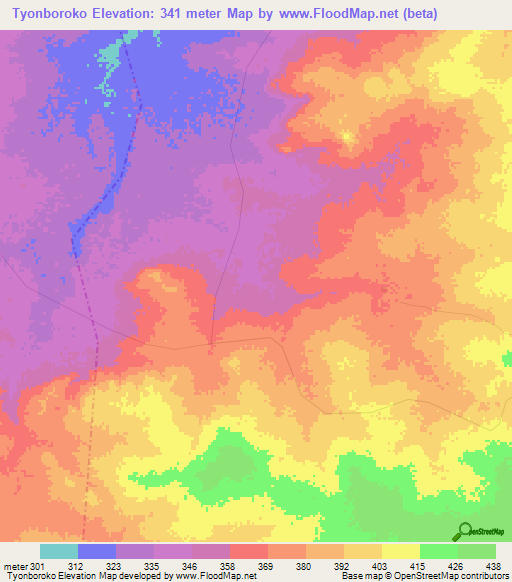 Tyonboroko,Mali Elevation Map