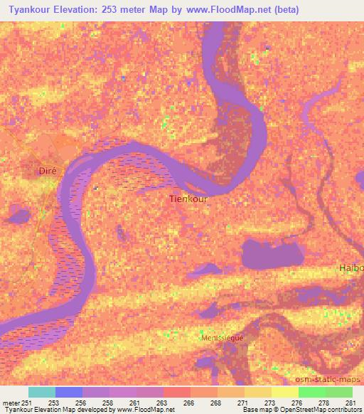Tyankour,Mali Elevation Map