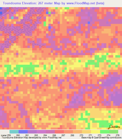 Toundouma,Mali Elevation Map