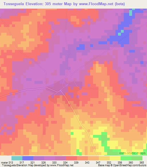 Tosseguela,Mali Elevation Map