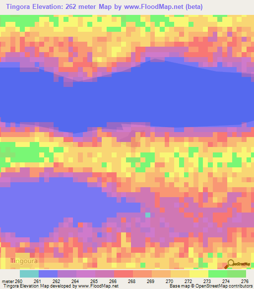 Tingora,Mali Elevation Map