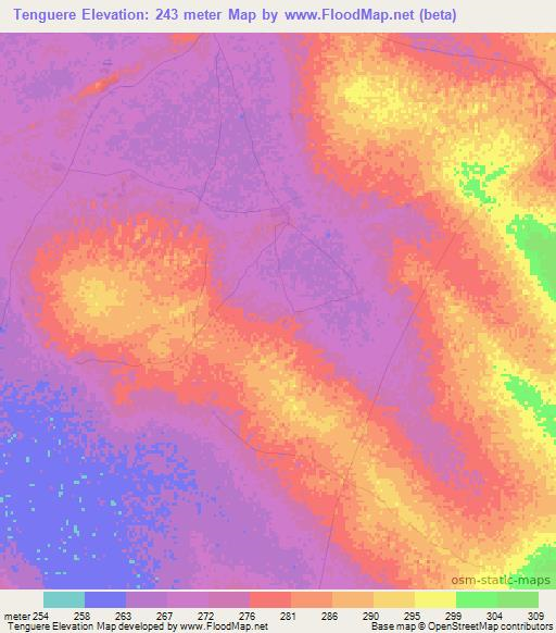 Tenguere,Mali Elevation Map