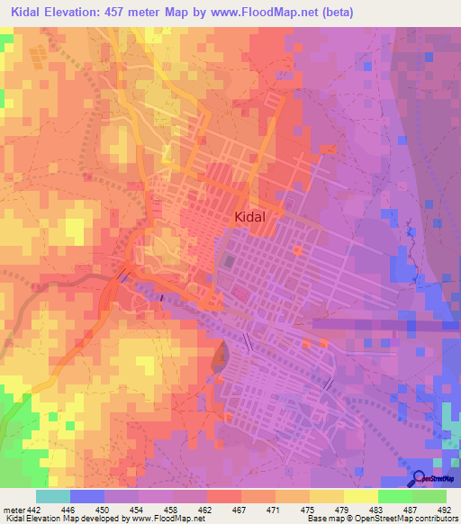 Kidal,Mali Elevation Map