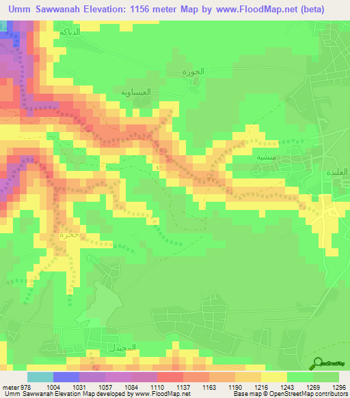 Umm Sawwanah,Jordan Elevation Map