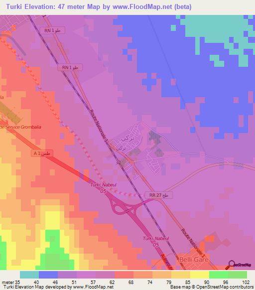 Turki,Tunisia Elevation Map