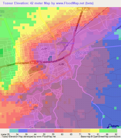 Tozeur,Tunisia Elevation Map