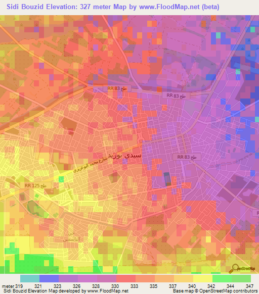 Sidi Bouzid,Tunisia Elevation Map