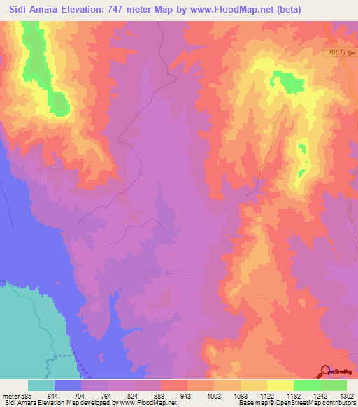Sidi Amara,Tunisia Elevation Map