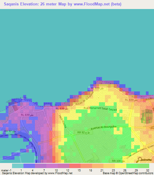 Saqanis,Tunisia Elevation Map