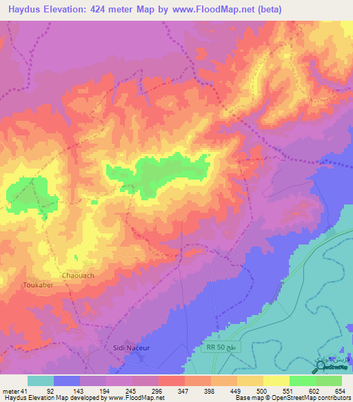 Haydus,Tunisia Elevation Map