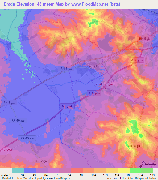 Brada,Tunisia Elevation Map