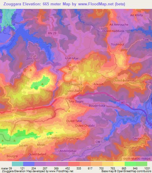 Zouggara,Algeria Elevation Map