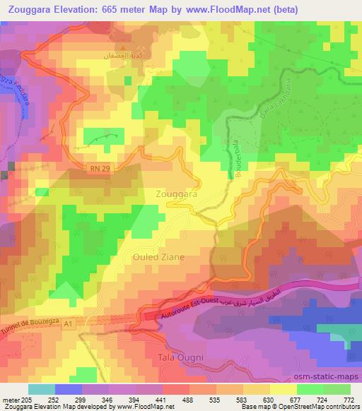 Zouggara,Algeria Elevation Map
