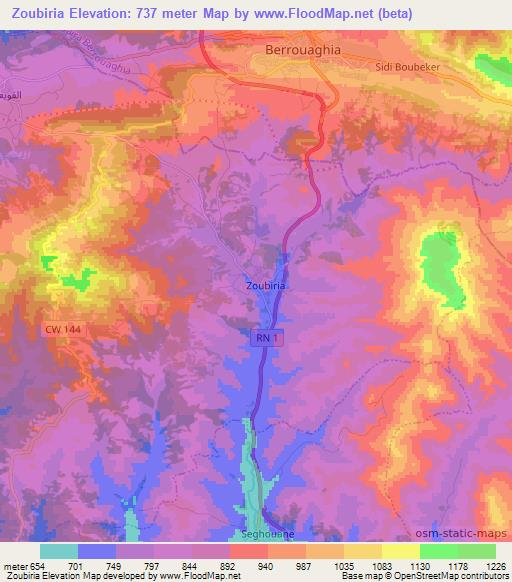 Zoubiria,Algeria Elevation Map