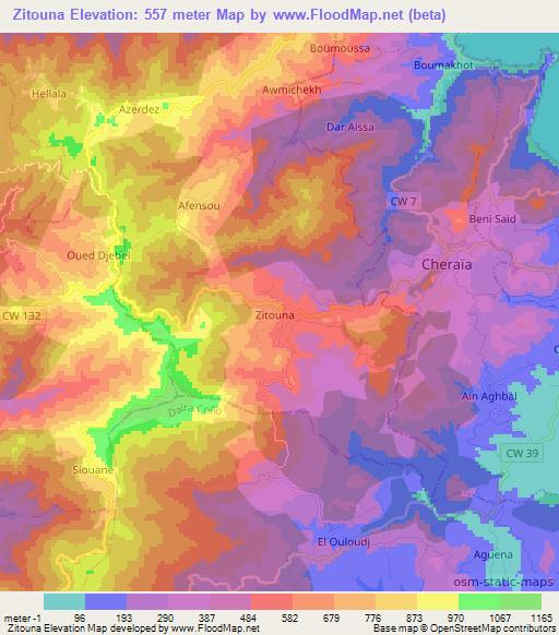 Zitouna,Algeria Elevation Map