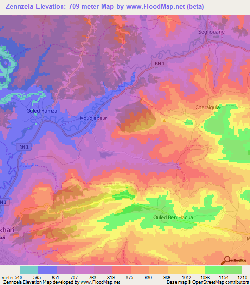 Zennzela,Algeria Elevation Map