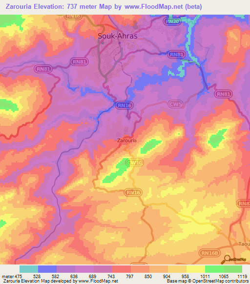 Zarouria,Algeria Elevation Map